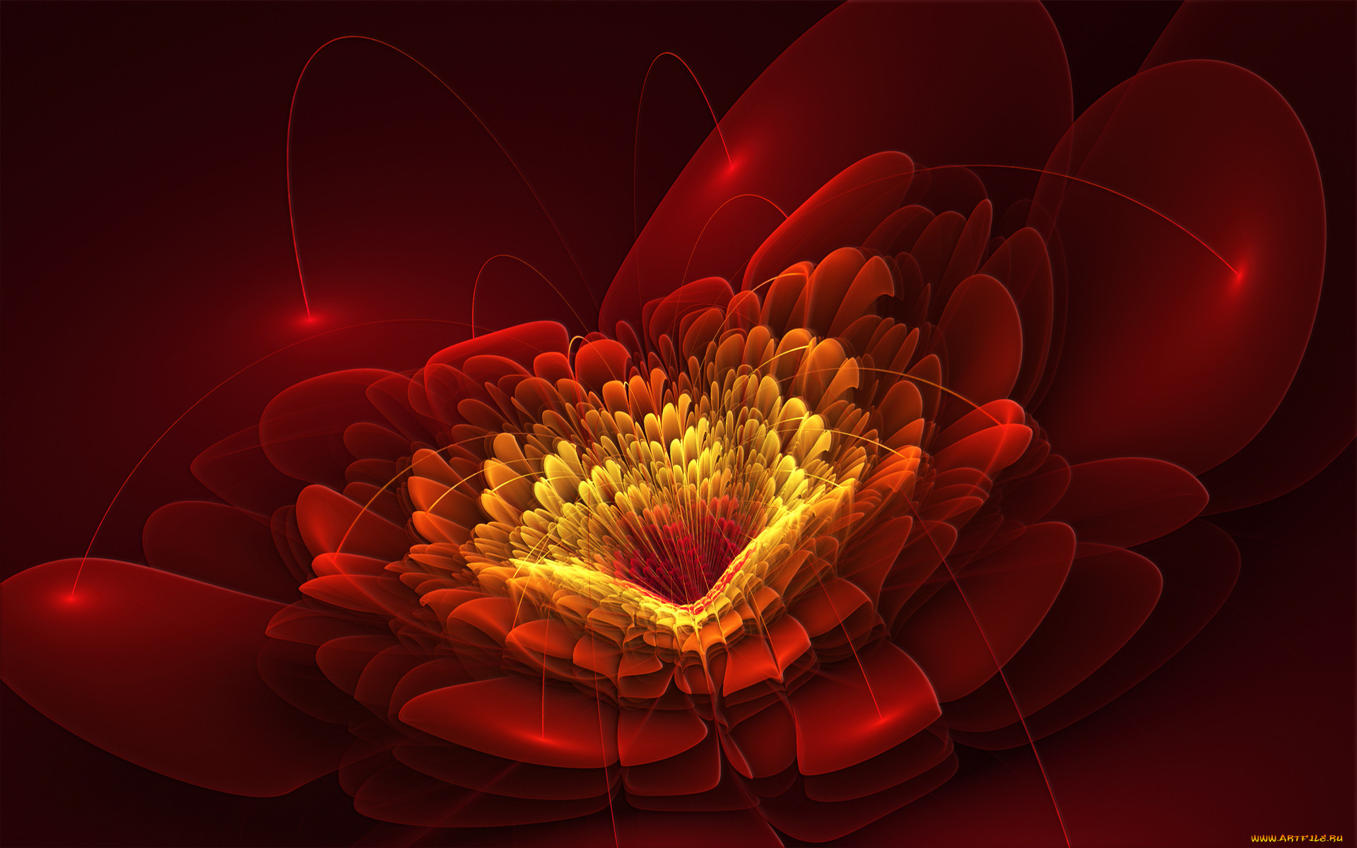 3d, 3, , flowers, , 